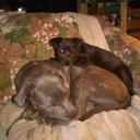 Susan Ratcliffe - @capone120113 - Twitter