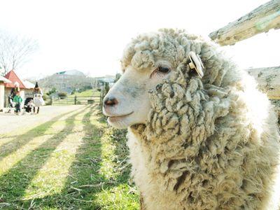 いなさんのプロフィール画像
