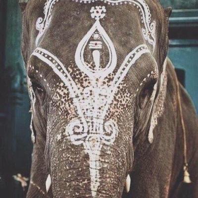 delia4_delia's profile picture. • sicilienne/deutsche • Germangirl • ✨