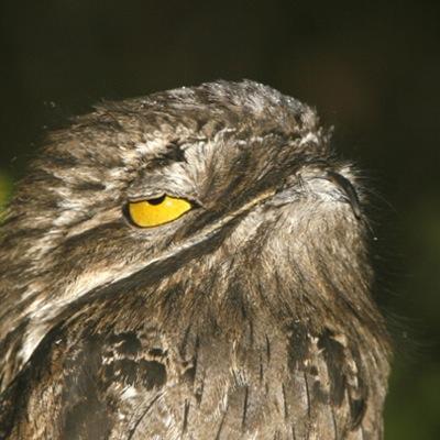 自分を高める自己啓発の方法をお届けします。年収2000万を超えるための「７つの秘訣」無料プレゼント中！詳しくは下記をクリック⇩
