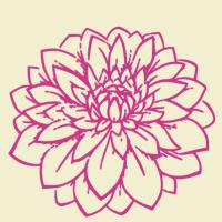 Finchley Nurseries (@finchleynursery) 's Twitter Profile