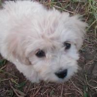 Efi M (@efi_mf) 's Twitter Profile