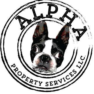 AlphaPropertyNJ's profile picture. Veteran owned appliance repair service with over 30 years experience! Check us out at https://t.co/ZA1mK0VyjY