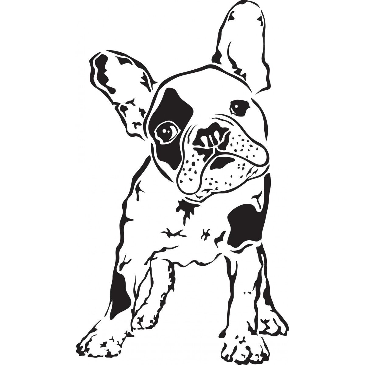 Pet Dog Training and Doggy Day Care