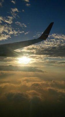 NetinfoK's profile picture. 