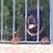Pablito005's profile image