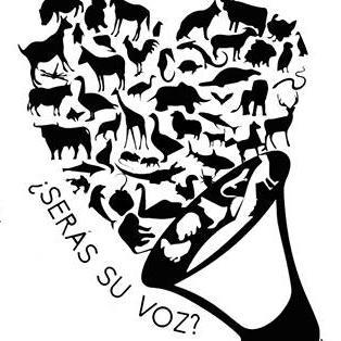 El 15 de marzo nos vemos en C/ Carrera de la Virgen de 11 a 18, para concienciar sobre la paz y el veganismo.