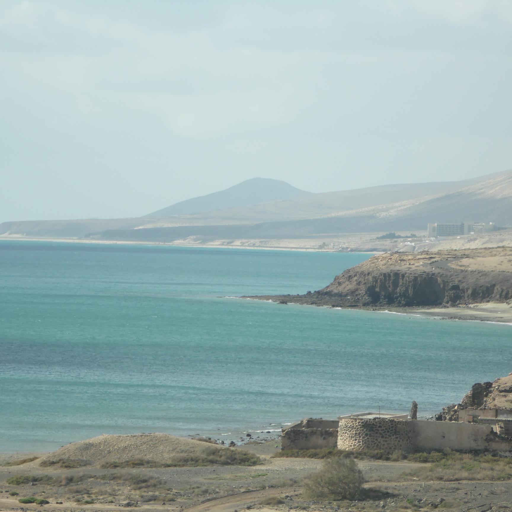 WebbSunita's profile picture. 