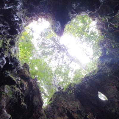 crescent8502's profile picture. 海/スキューバダイビング/ボルダリング/ましゃ(福山雅治)