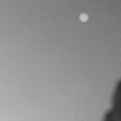 __azulejos's profile picture. le monde est à nous