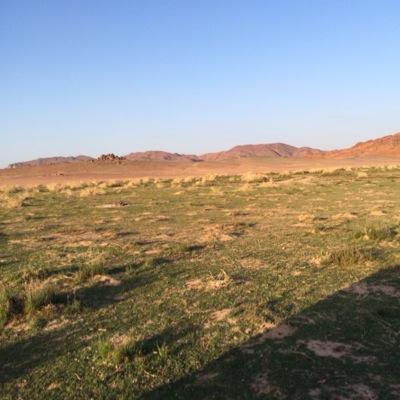 alhmadaa14's profile picture. 