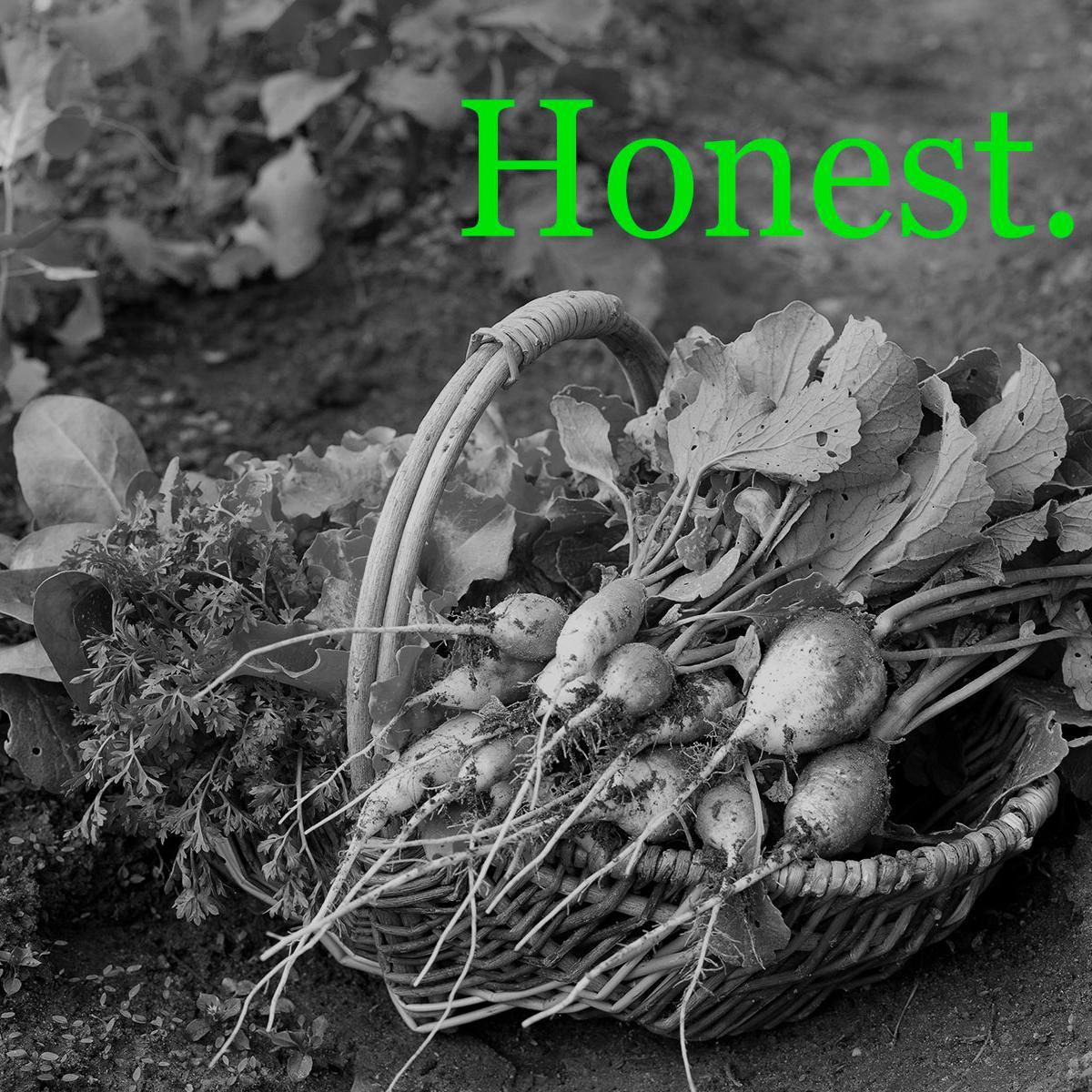 Organic farm in #HamOnt. Growing good food for good folks. Run by Jon & Kate.