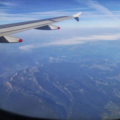 PMarcatti's profile picture. 