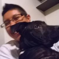 Mercedes Martinez (@caders1775) 's Twitter Profile