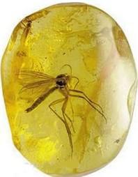 1lo_mac's profile picture. 