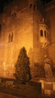 DariboliDario's profile picture. 