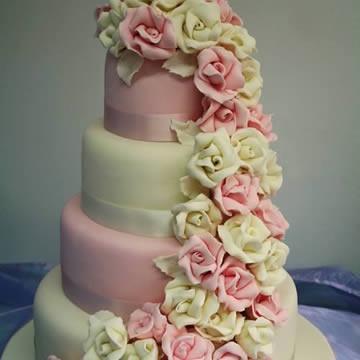 joannesCakeBox's profile picture. We specialise in individually designed wedding cakes with hand crafted flowers and decorations. Whatever your colour, whatever your flavour contact us.