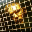 Mark Kane - @Markolepticunt - Twitter