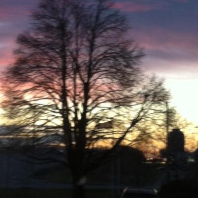 Herbalife_TO's profile picture. Our goal is to make people look and feel better and happier each day!