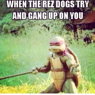 reginaldmojk12's profile picture. 