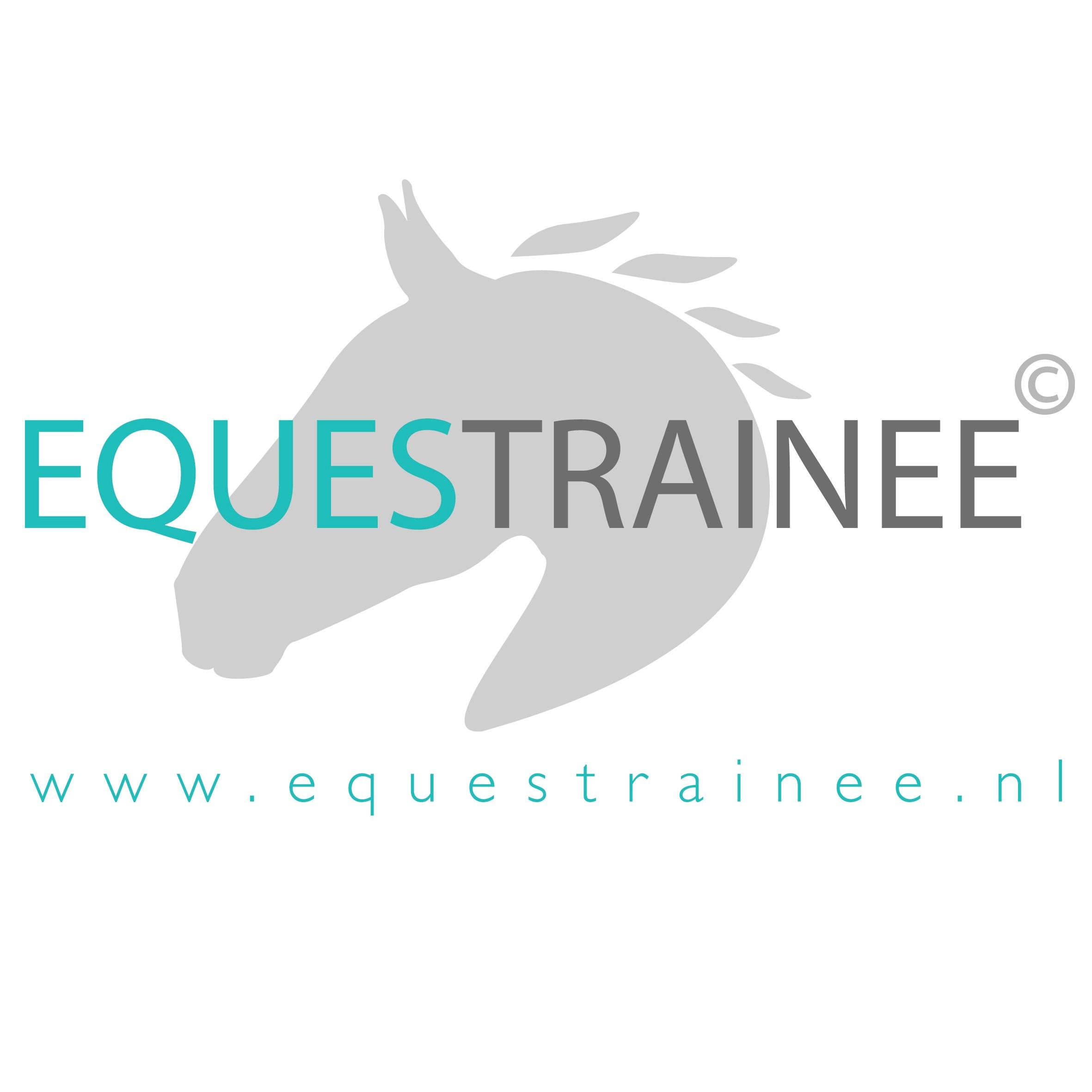 Met Equestrainee registreer je je trainingen om zo bewuster te gaan rijden, om vervolgens deze te evalueren met je trainer en/of coach.