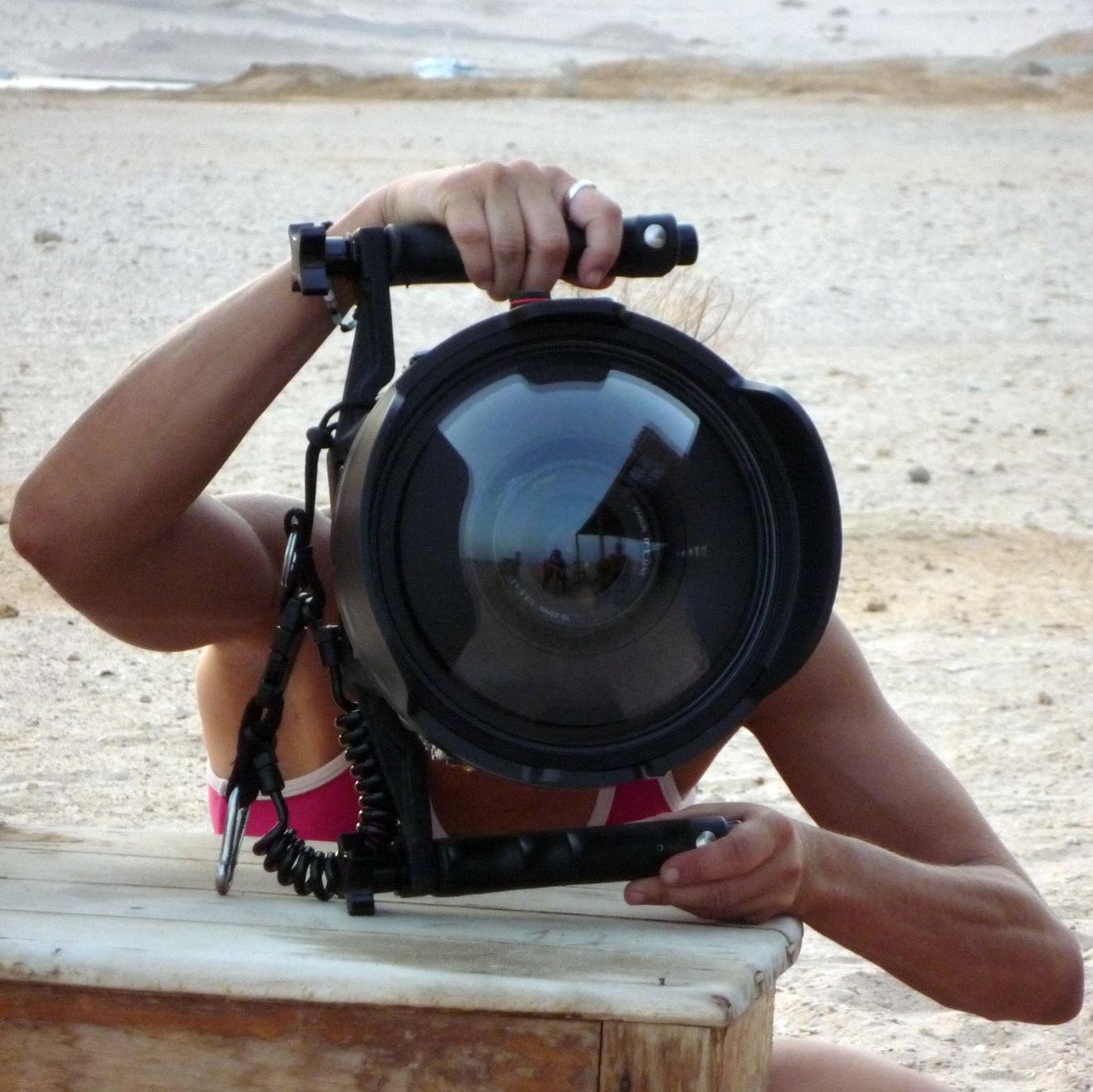 PPallocci's profile picture. 