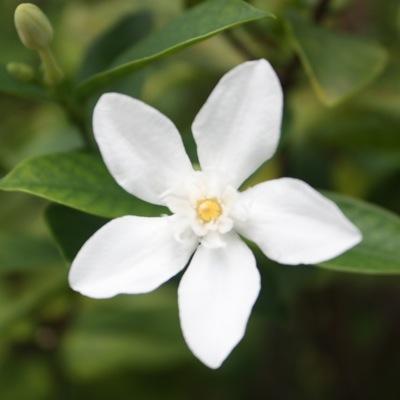 morning_mist03's profile picture. A sinner, saved by grace.