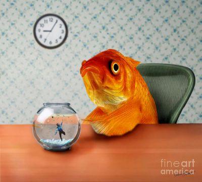 Iz1k16Mo's profile picture. Baseball ⚾ Keep life simple. I know the difference between want you need, and what you want. I am on the road to nowhere fast.      -Daniel Norris