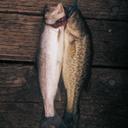 Michael Stiles - @Stilesloud - Twitter