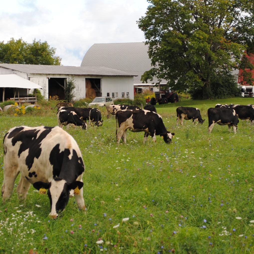 outreach/education/demonstration opportunities on how prescribed grazing impacts pasture and
range productivity, conservation and soil health.