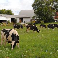 NYSoilHealth (@nysoilhealth) 's Twitter Profile