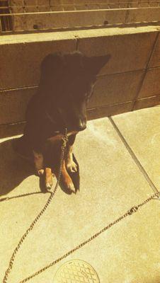 kcr1018's profile picture. 