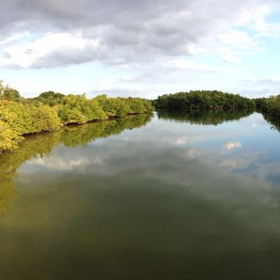 Skroohn's profile picture. 