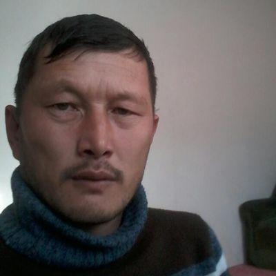 қалаушы, слава Украине