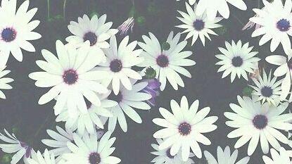 Its_Just__Me___'s profile picture. 