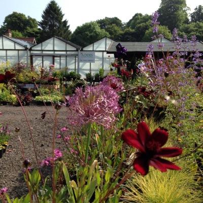 info_addis's profile picture. We design and build gardens and landscapes to the highest standard.