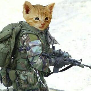 WenGayoAriTimga's profile picture. 