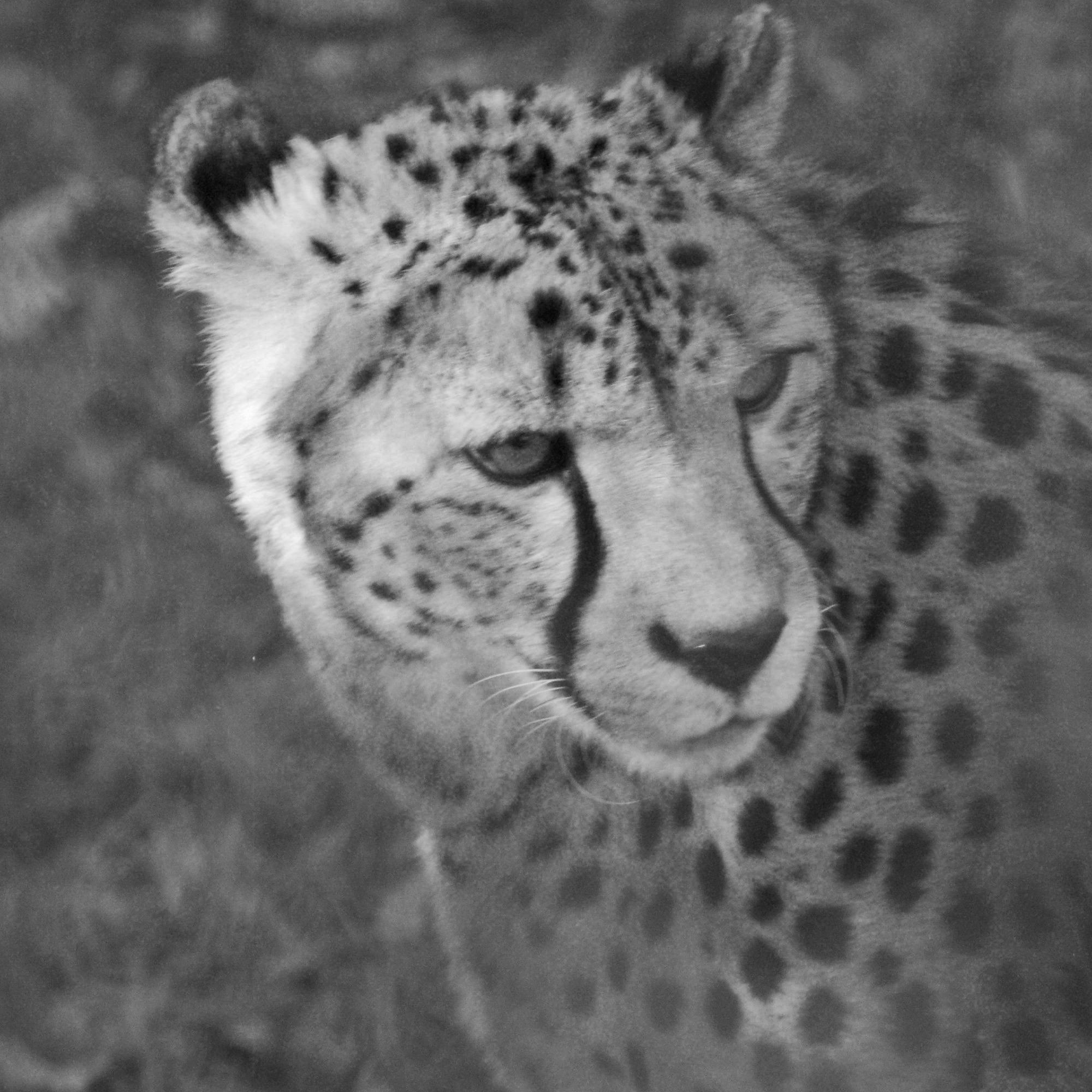 Amateur photographer, documenting the world, one photograph at a time. Come see things from my view!