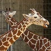 seeknhym's profile picture. Thankful to God who created and sustains me. Praying to glorify Him daily. Desiring to make a difference in the life of someone who knows no hope.