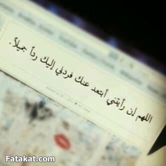 notella19901's profile picture. 