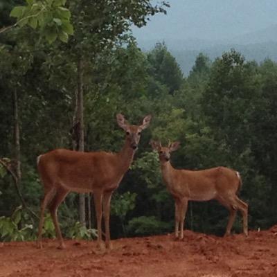 mgardinerchgup's profile picture. 