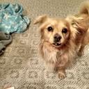 Kim Kimbrell - @mommakimkim - Twitter