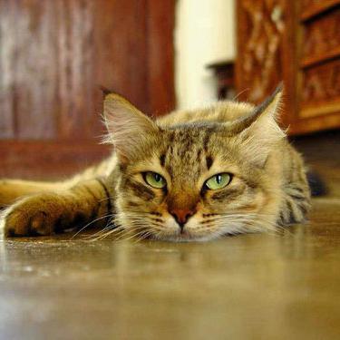 DoryahnX's profile picture. :)