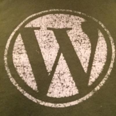 new WP_Query( category_name=wtf );