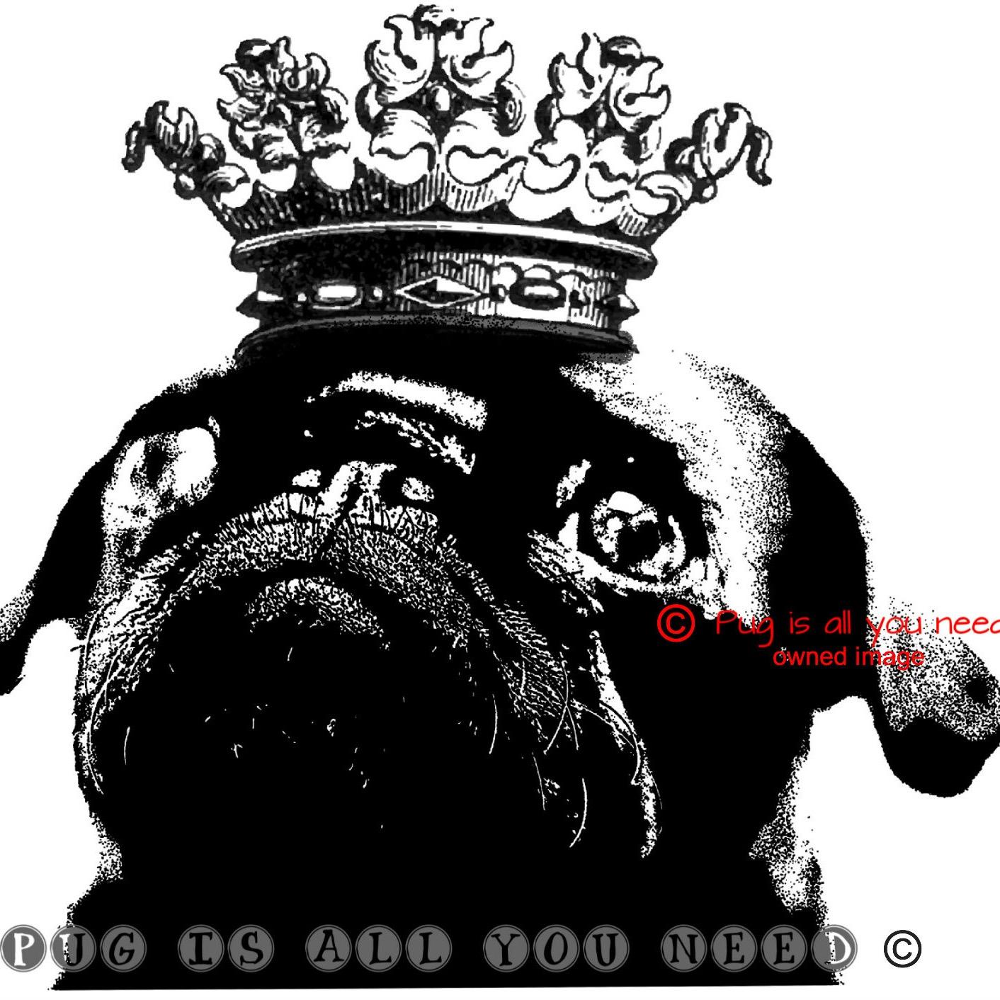 pugisallyouneed's profile picture. I'm Vicki owned by 5 pugs Hank, hetti, roxy,Harri and binky.