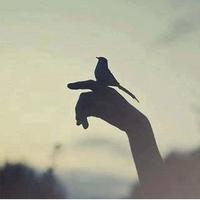 ♛ريــم الألمعي (@ss__3o0) 's Twitter Profile