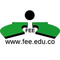 FEE  (@fee_estudio) 's Twitter Profile