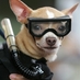 awbkeywest (@awbkeywest) Twitter profile photo awbkeywest (@awbkeywest) Twitter profile photo