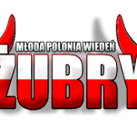 ŻUBRY - Junge Polonia Wien, erster Verein für polnischstämmige Studenten / Absolventen / Professionals in Wien, gegründet 2010, Social & Networking Events.
