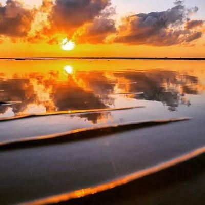 travelworld981's profile picture. 